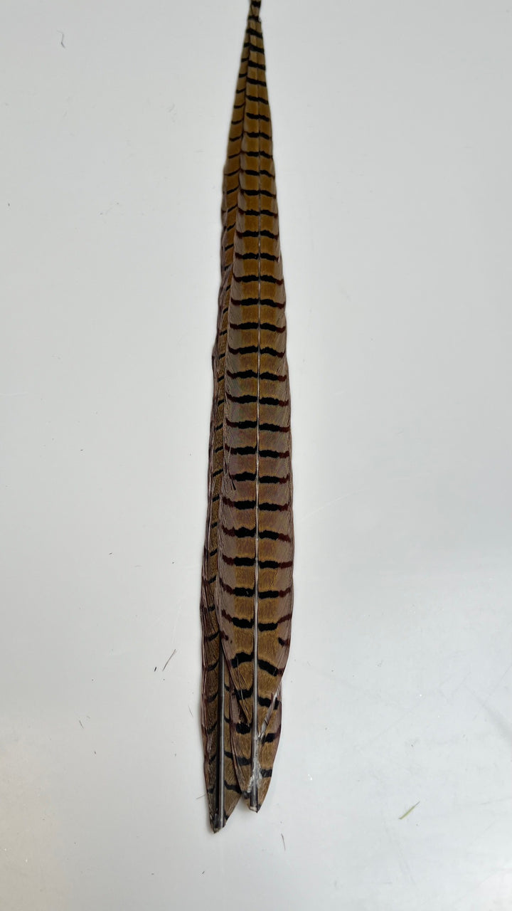 Pheasant Tail Center Pairs - Feathers &amp; Marabou - Fly Fish Food