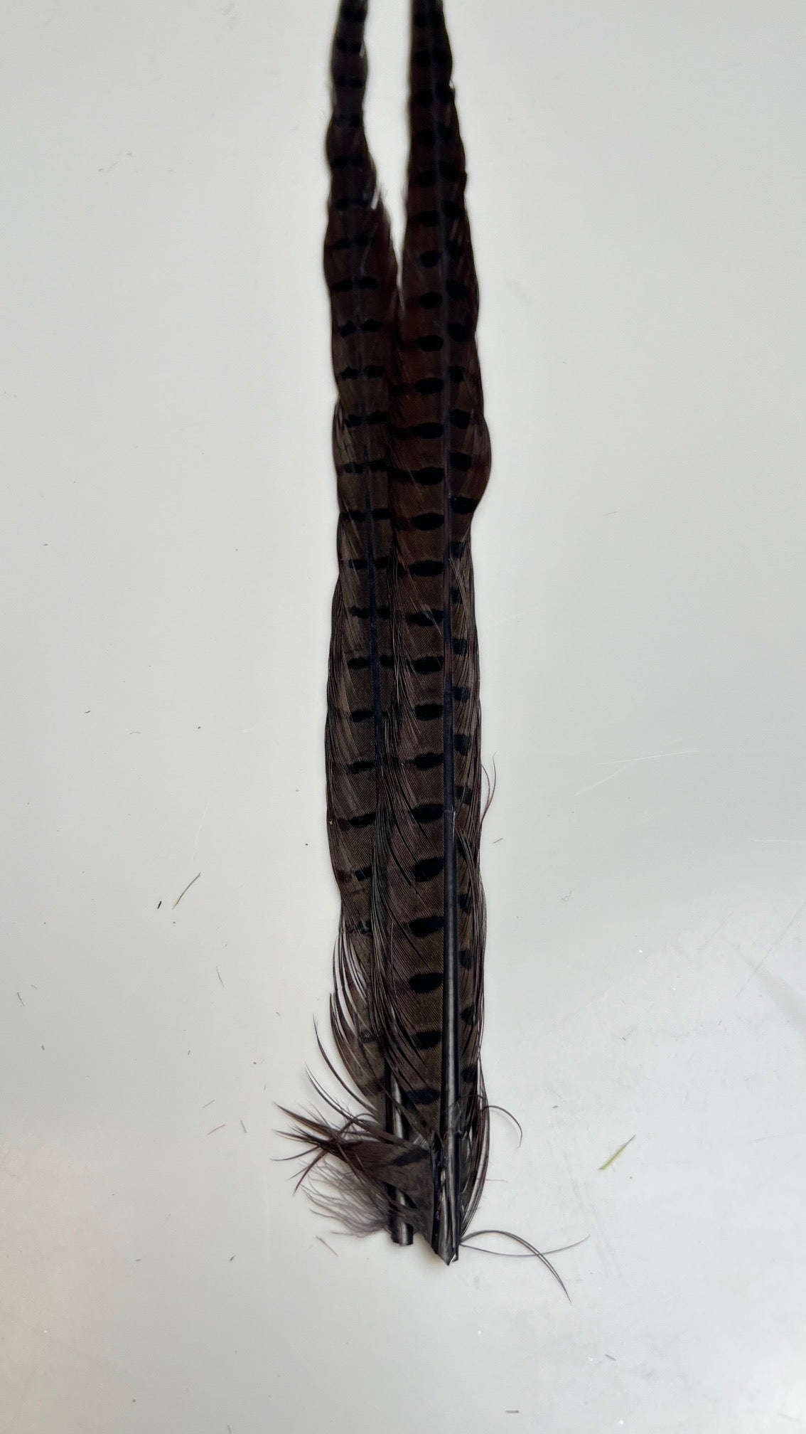 Pheasant Tail Center Pairs - Feathers & Marabou - Fly Fish Food