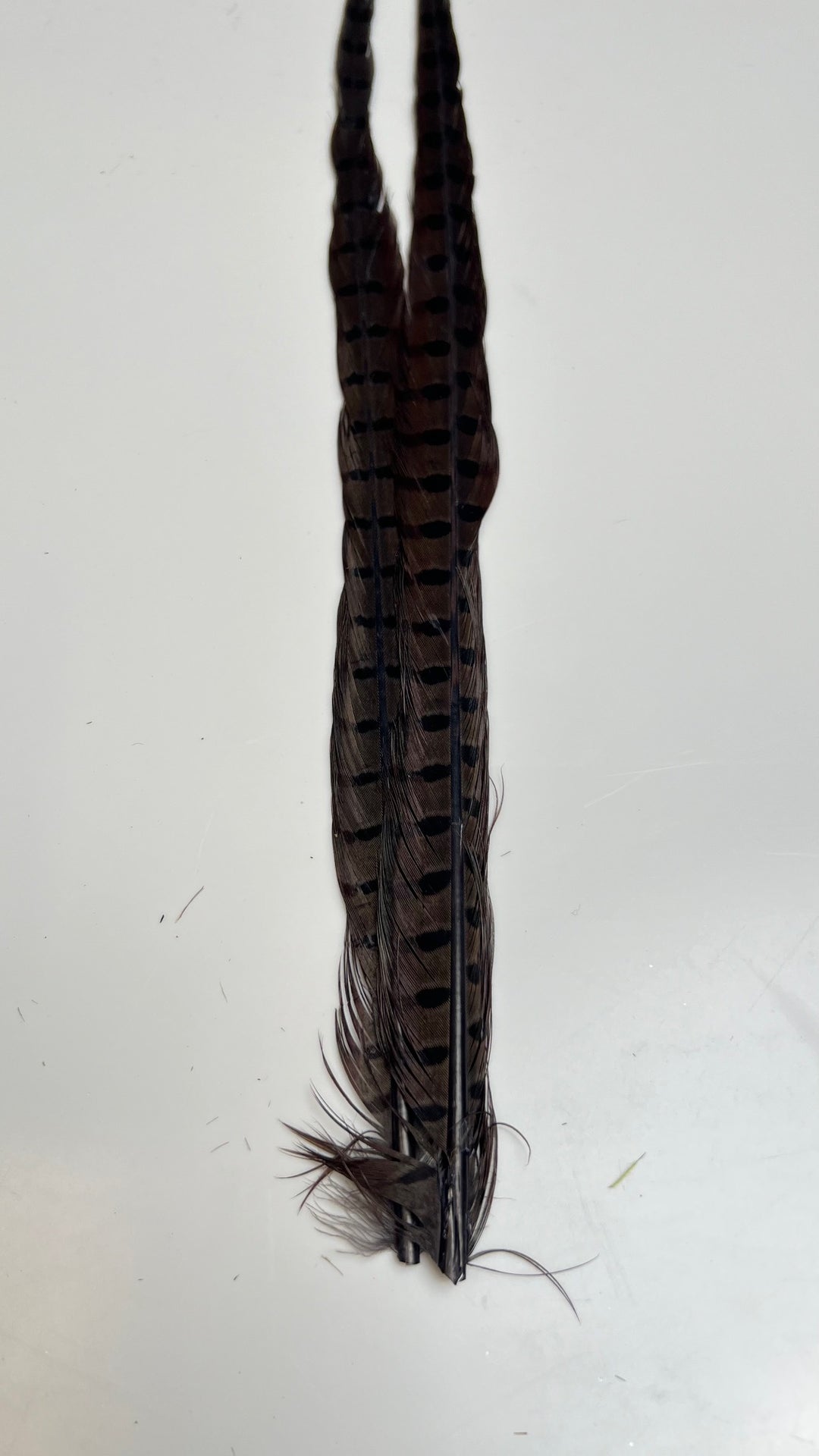 Pheasant Tail Center Pairs - Feathers &amp; Marabou - Fly Fish Food