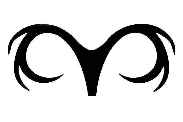 Pacchiarini&