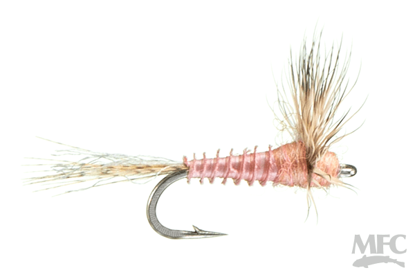 Biot Sparkle Dun - Pink Albert - Flies - Fly Fish Food