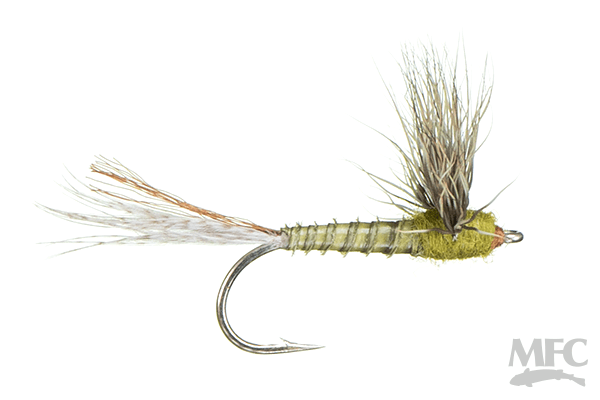 Biot Sparkle Dun - Green Drake - Flies - Fly Fish Food