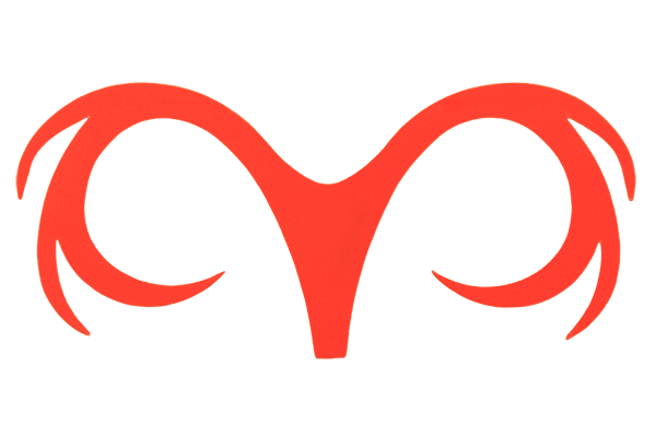 Pacchiarini&
