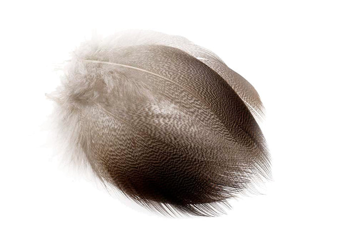 Bronze Mallard Flank - Feathers &amp; Marabou - Fly Fish Food