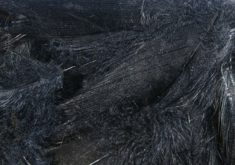 Mallard Flank - Feathers &amp; Marabou - Fly Fish Food