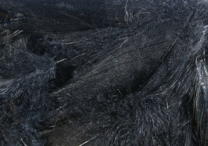 Mallard Flank - Feathers &amp; Marabou - Fly Fish Food