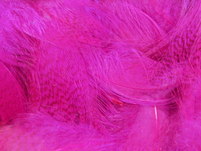 Mallard Flank - Feathers & Marabou - Fly Fish Food