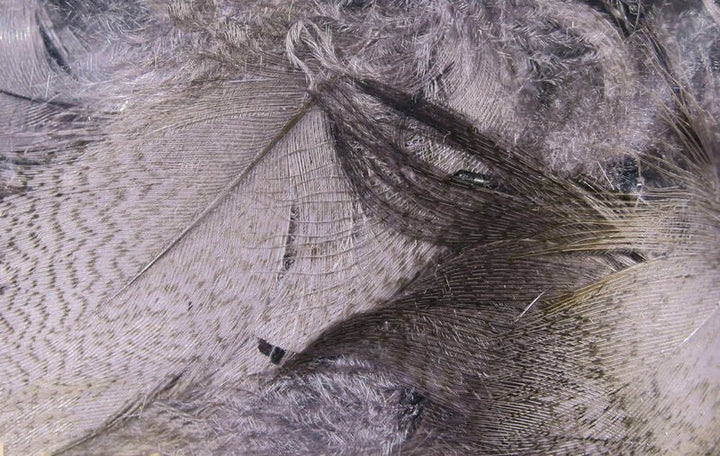 Mallard Flank - Feathers &amp; Marabou - Fly Fish Food
