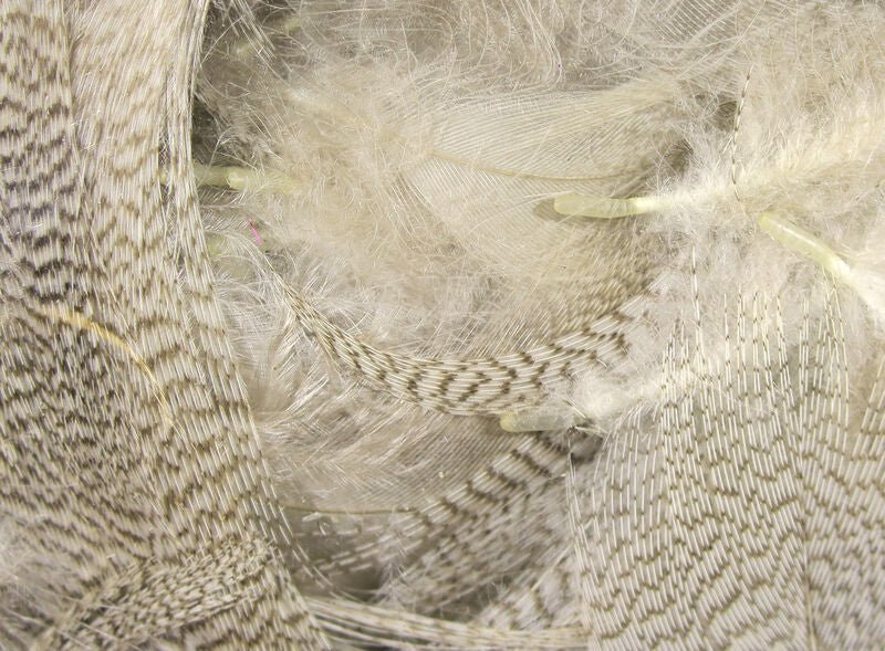 Mallard Flank - Feathers &amp; Marabou - Fly Fish Food