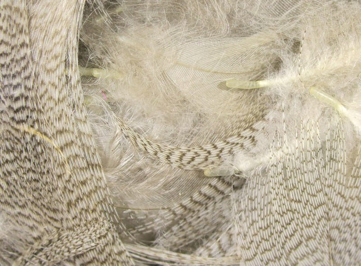 Mallard Flank - Feathers &amp; Marabou - Fly Fish Food