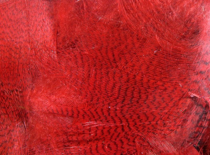 Mallard Flank - Feathers &amp; Marabou - Fly Fish Food