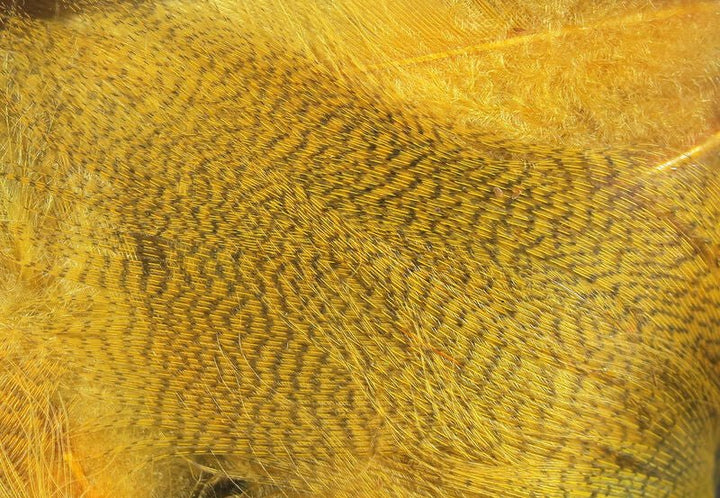 Mallard Flank - Feathers &amp; Marabou - Fly Fish Food