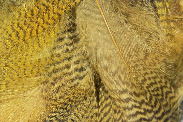 Mallard Flank - Feathers &amp; Marabou - Fly Fish Food