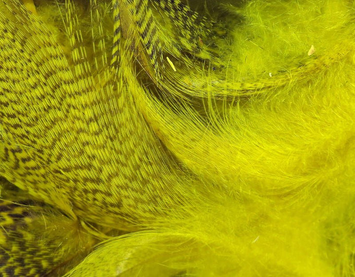 Mallard Flank - Feathers &amp; Marabou - Fly Fish Food