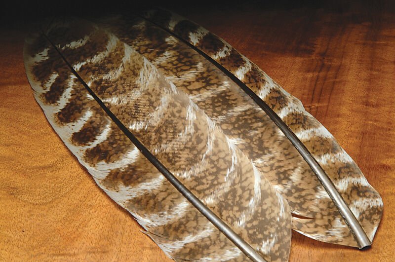Ozark Oak Mottled Turkey Quills - Feathers &amp; Marabou - Fly Fish Food