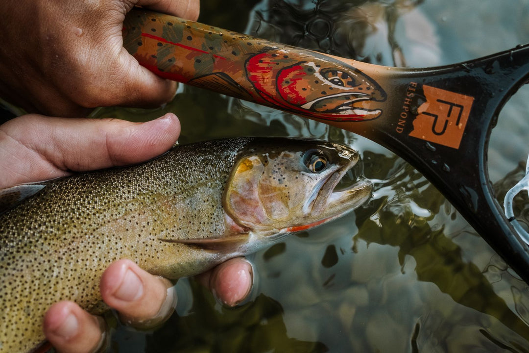 Fishpond Nomad Canyon Net - Colorado Cutty - Nets &amp; Accessories - Fly Fish Food