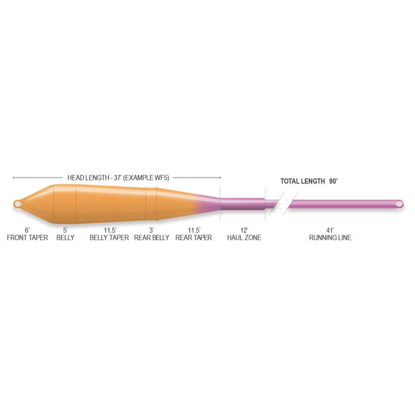 Airflo Superflo Ridge 2.0 Power Taper Fly Line - Sunburst/Purple - Fly Lines - Fly Fish Food