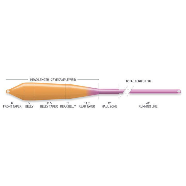 Airflo Superflo Ridge 2.0 Power Taper Fly Line - Sunburst/Purple - Fly Lines - Fly Fish Food