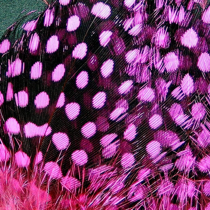 Strung Guinea Feathers - Feathers &amp; Marabou - Fly Fish Food
