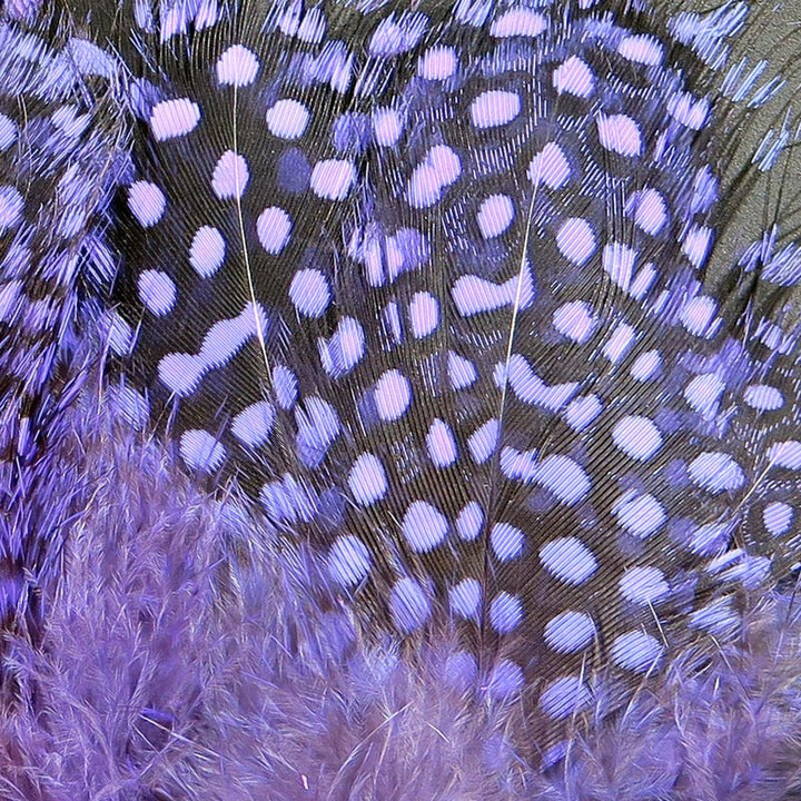 Strung Guinea Feathers - Feathers &amp; Marabou - Fly Fish Food