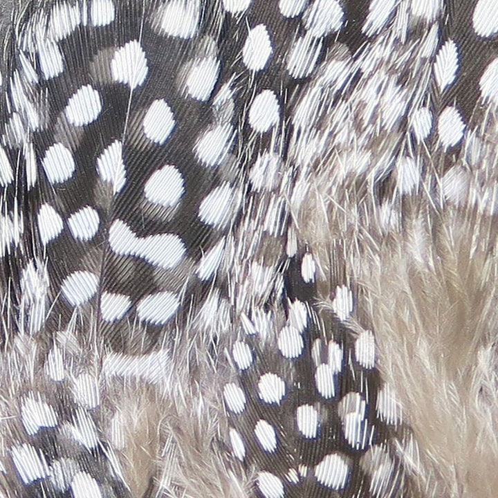 Strung Guinea Feathers - Feathers &amp; Marabou - Fly Fish Food