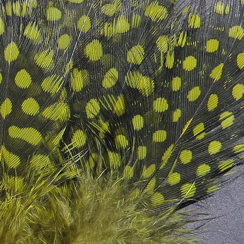 Strung Guinea Feathers - Feathers &amp; Marabou - Fly Fish Food