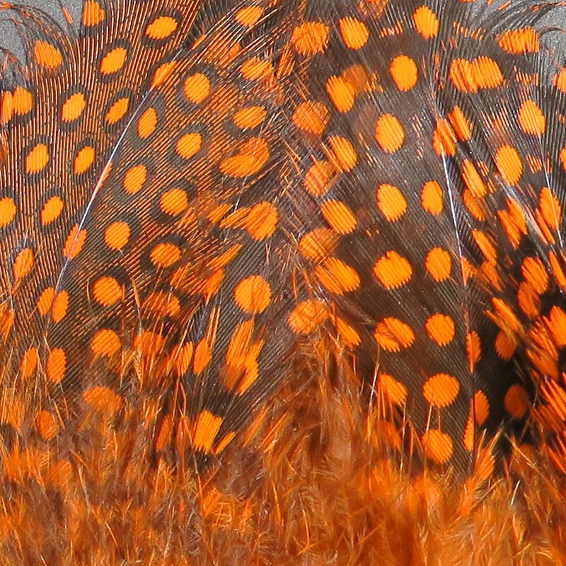 Strung Guinea Feathers - Feathers &amp; Marabou - Fly Fish Food