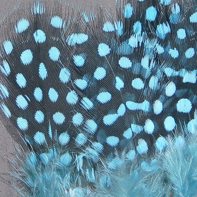 Strung Guinea Feathers - Feathers & Marabou - Fly Fish Food