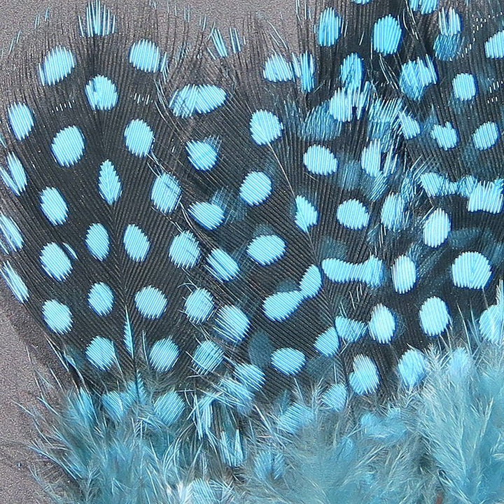 Strung Guinea Feathers - Feathers &amp; Marabou - Fly Fish Food