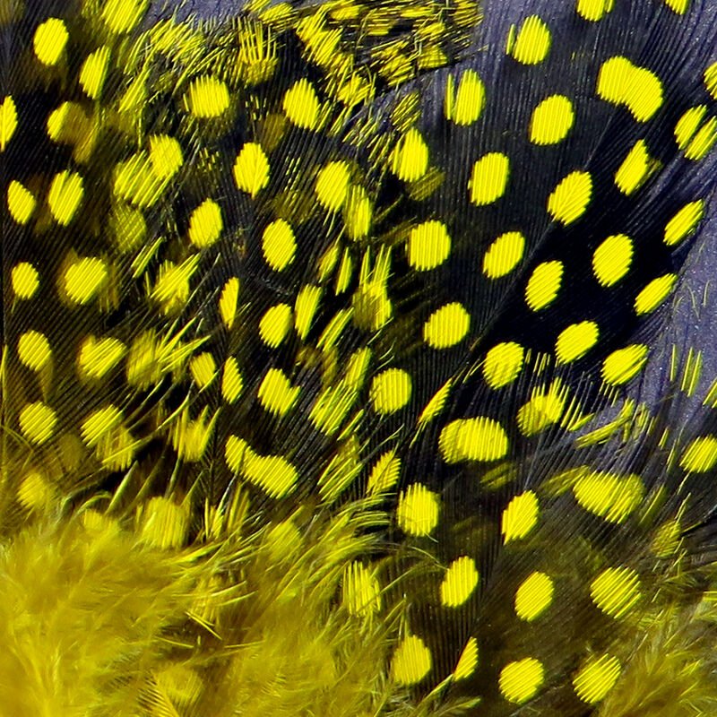 Strung Guinea Feathers - Feathers & Marabou - Fly Fish Food