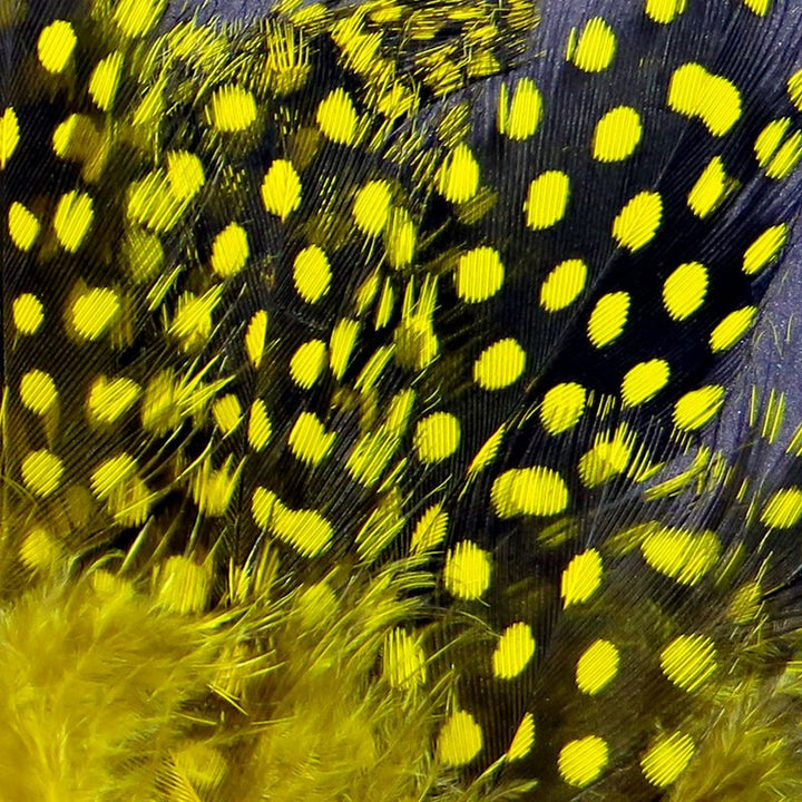 Strung Guinea Feathers - Feathers &amp; Marabou - Fly Fish Food