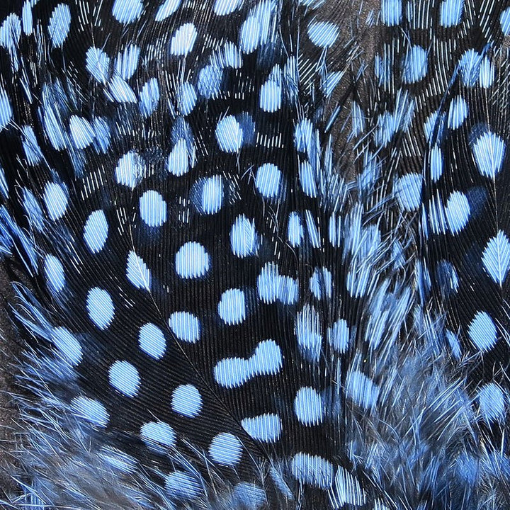 Strung Guinea Feathers - Feathers &amp; Marabou - Fly Fish Food