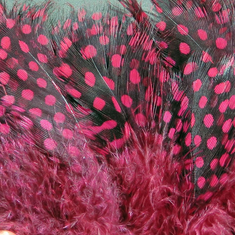 Strung Guinea Feathers - Feathers &amp; Marabou - Fly Fish Food