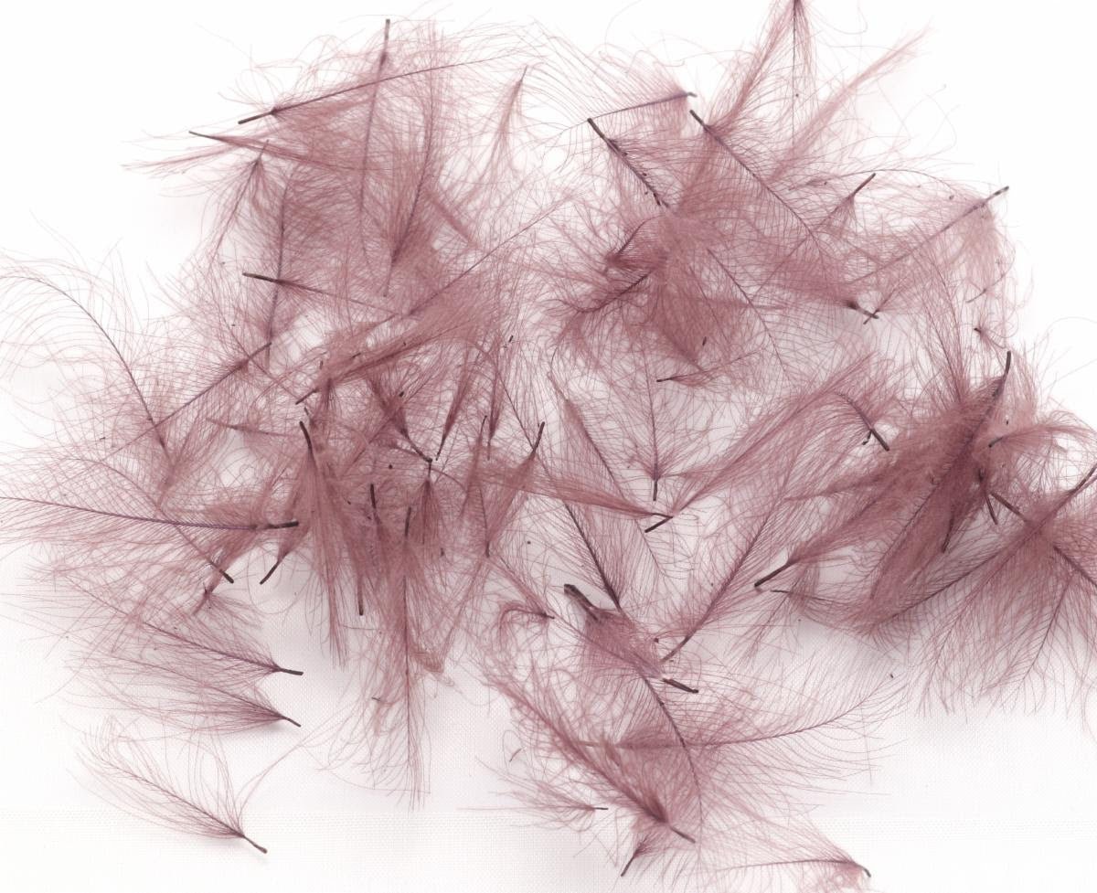 Hareline - Premium CDC (Cul De Canard) - Feathers & Marabou - Fly Fish Food