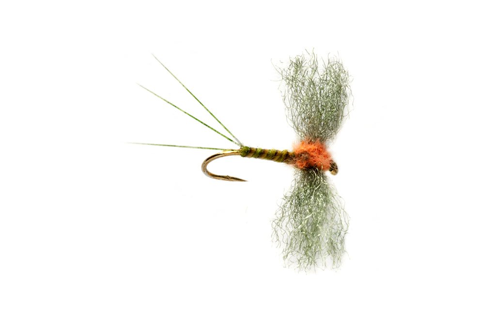 Burkus Western Green Drake Spinner - Flies - Fly Fish Food