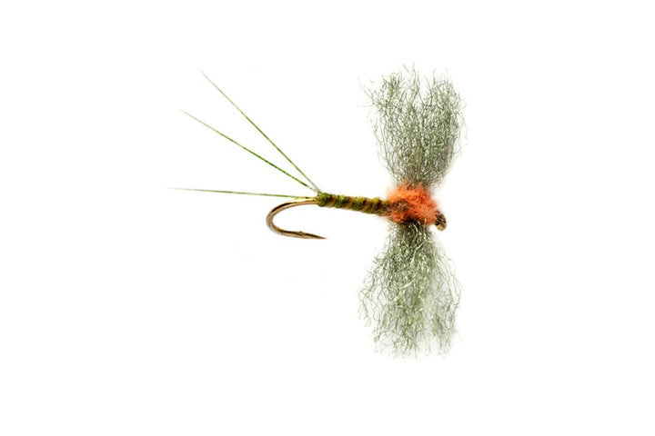 Burkus Western Green Drake Spinner - Flies - Fly Fish Food