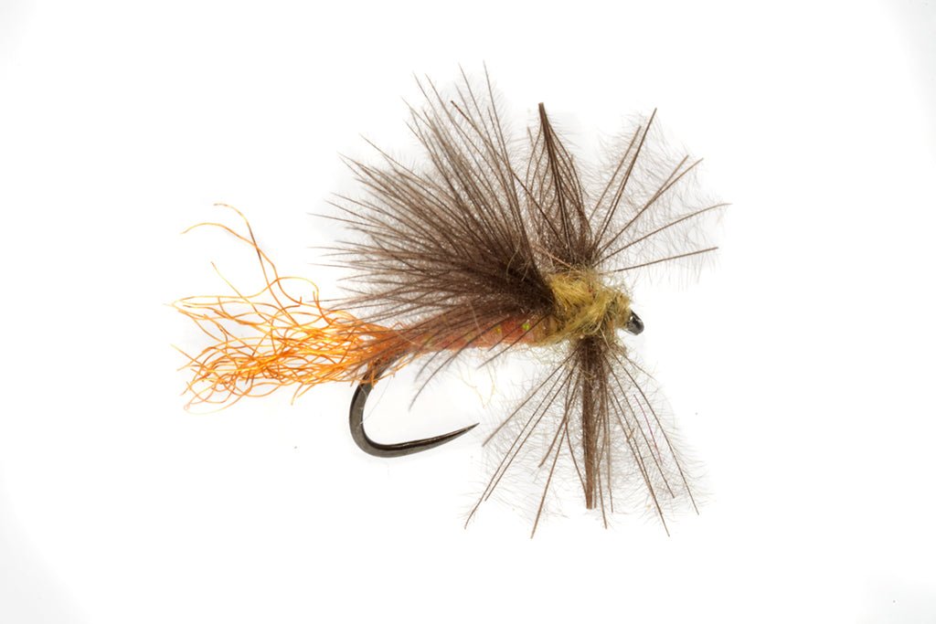Elden&