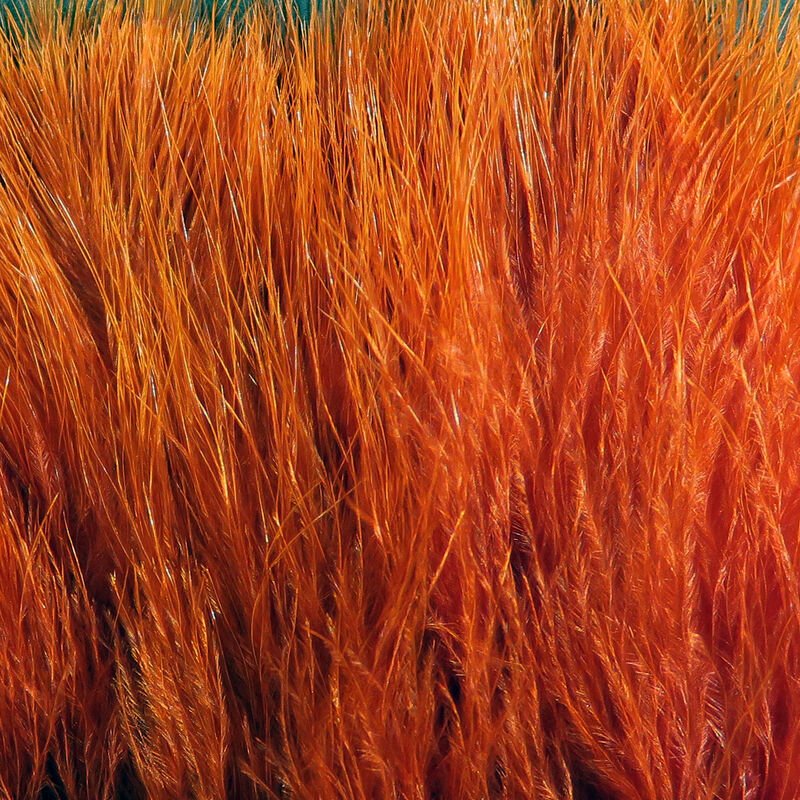 X - Select Marabou - Feathers & Marabou - Fly Fish Food