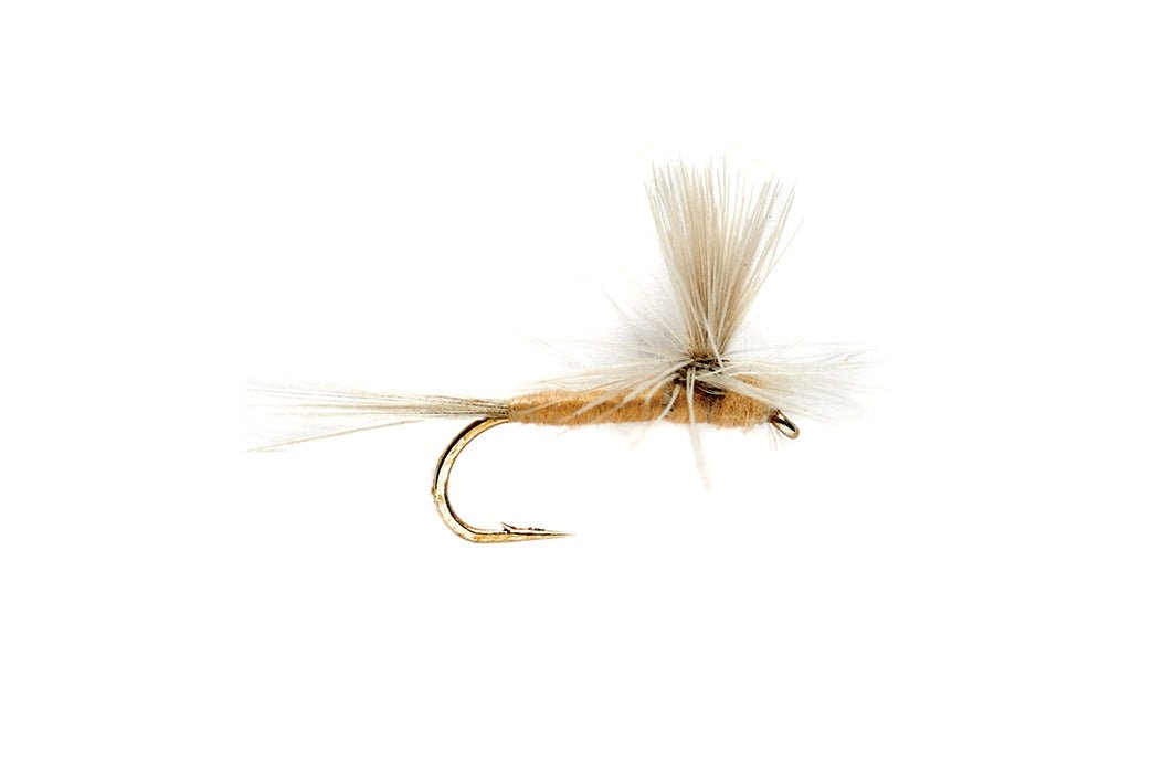 Sulphur Parachute - Flies - Fly Fish Food