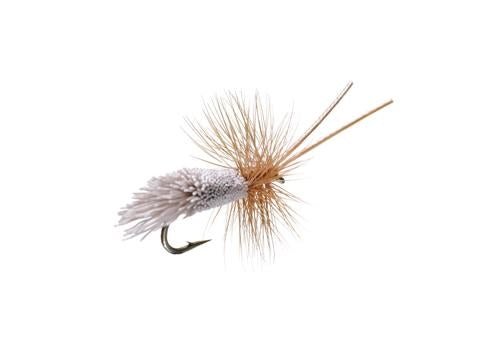 Goddard Caddis - Flies - Fly Fish Food