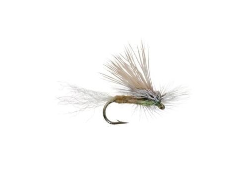 E/C Caddis - Olive - Flies - Fly Fish Food
