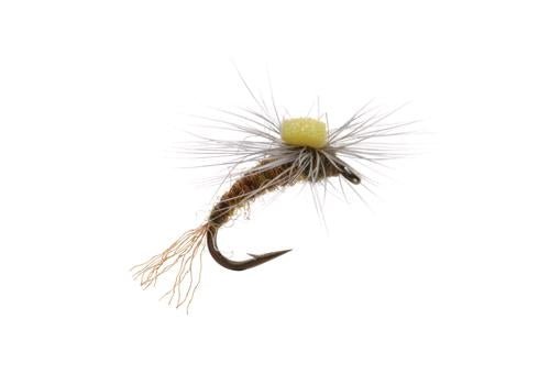 Para Emerger BWO - Flies - Fly Fish Food
