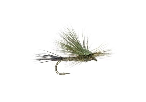 Gunnison Green Drake - 12 - Flies - Fly Fish Food