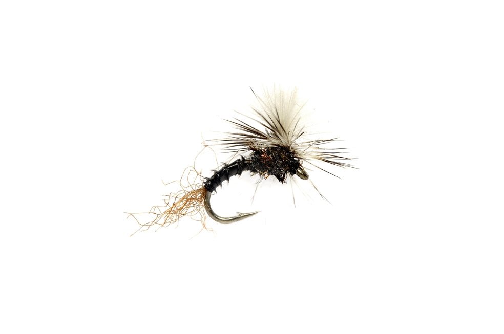 Birchell&