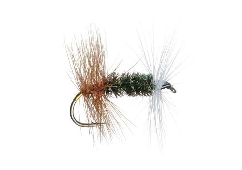Renegade - Flies - Fly Fish Food