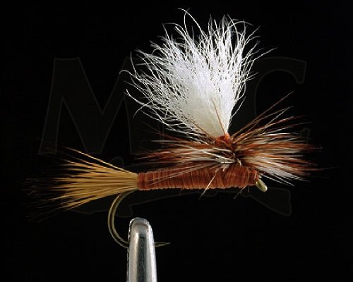 Carlson&