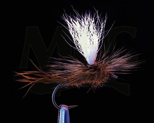 Stranahan&