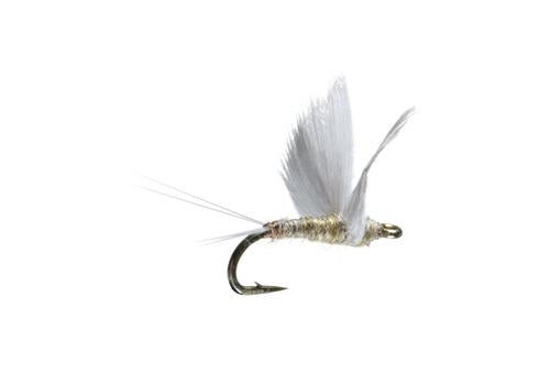 No Hackle Gray/Olive - Flies - Fly Fish Food