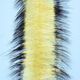 EP Invader Brush - 2.5" - Synthetic Fibers &amp; Flash - Fly Fish Food