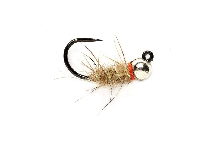 Sob - Czech Ginger - Flies - Fly Fish Food